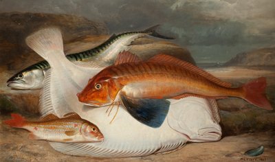 The Catch by Henry Leonidas Rolfe
